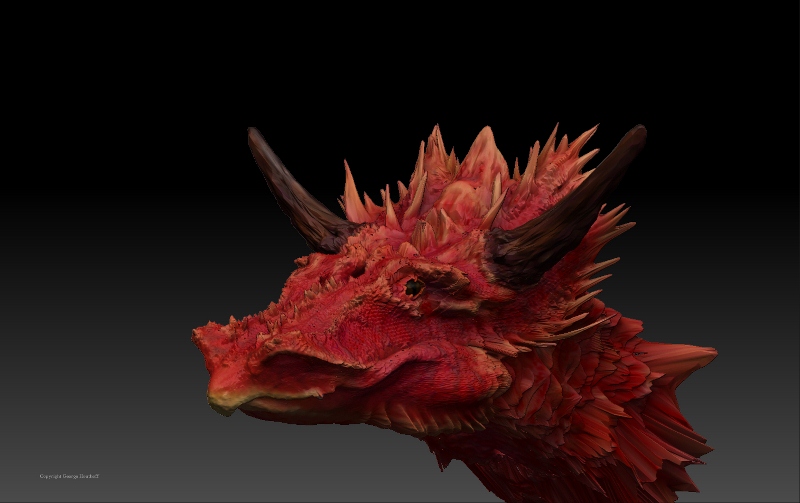 Draak1 (800x503).jpg