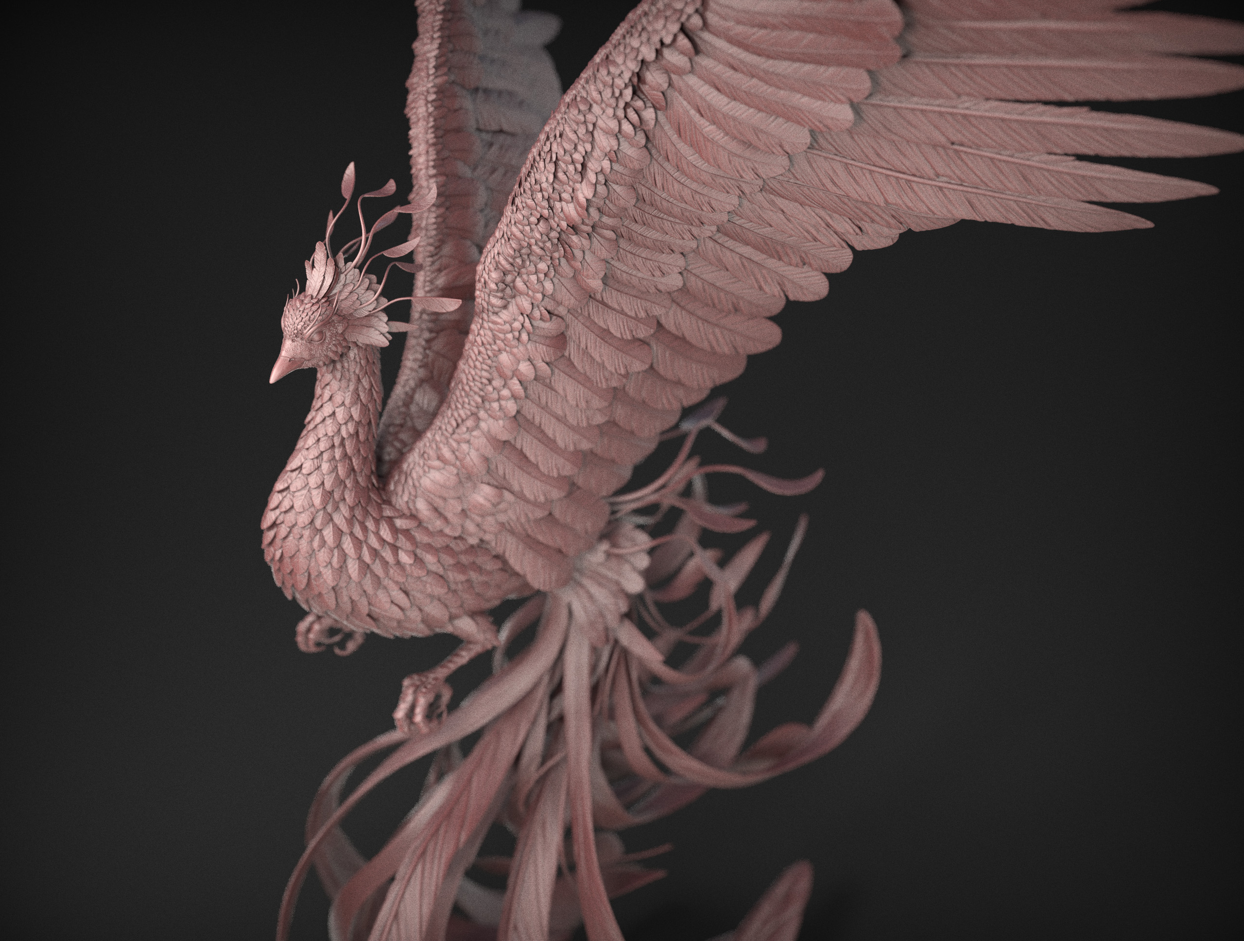 bird3