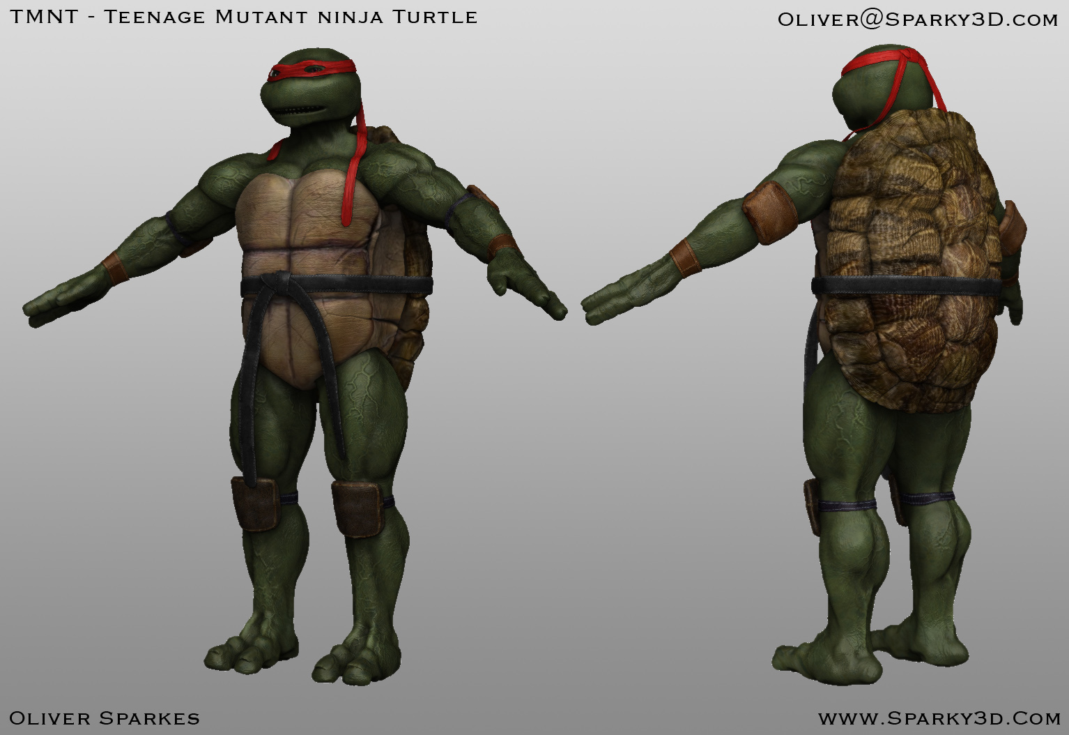 Turtle_composit_colour.jpg