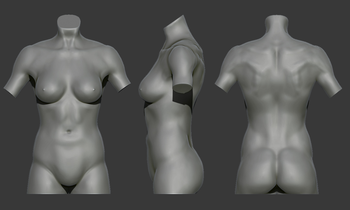 Female Torso Full.jpg