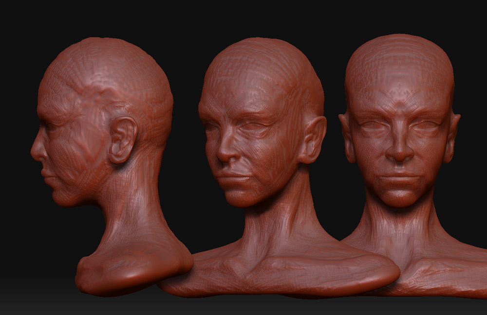 bust2_sheet.jpg