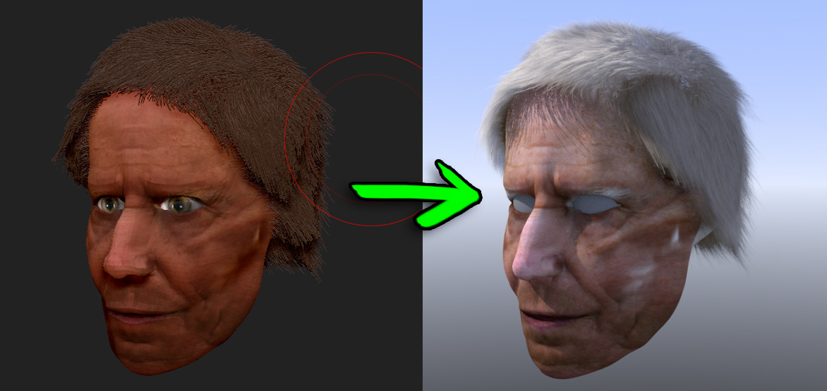 head.jpg