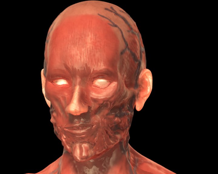 finalgatheranatomytest.jpg