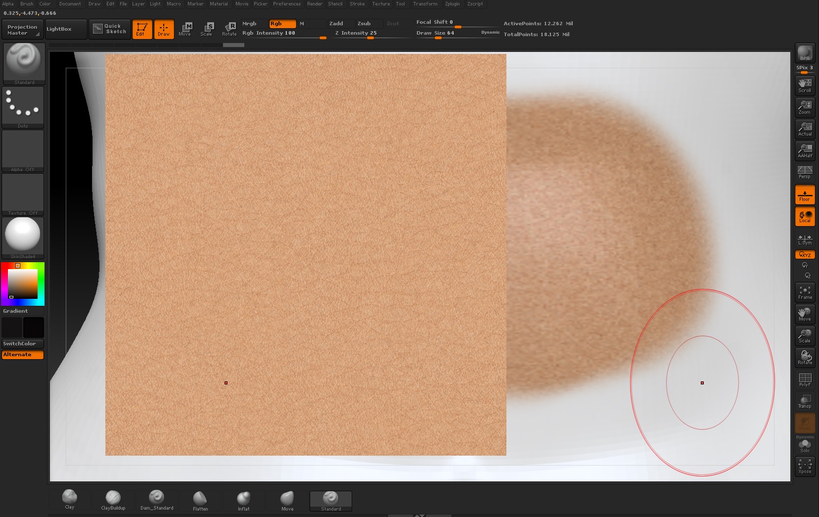 skin.jpg