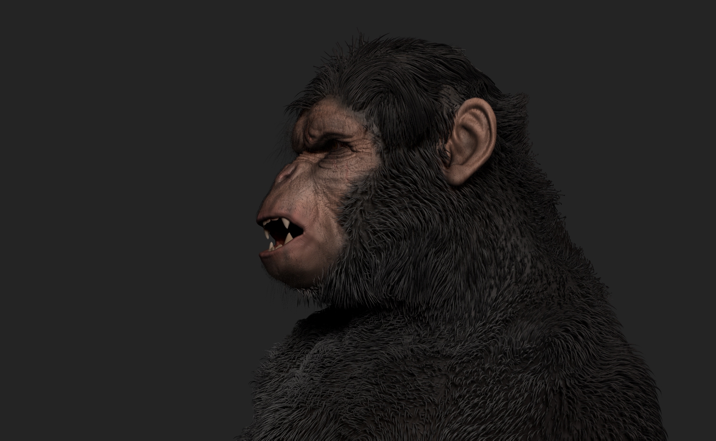 Ape_9.jpg