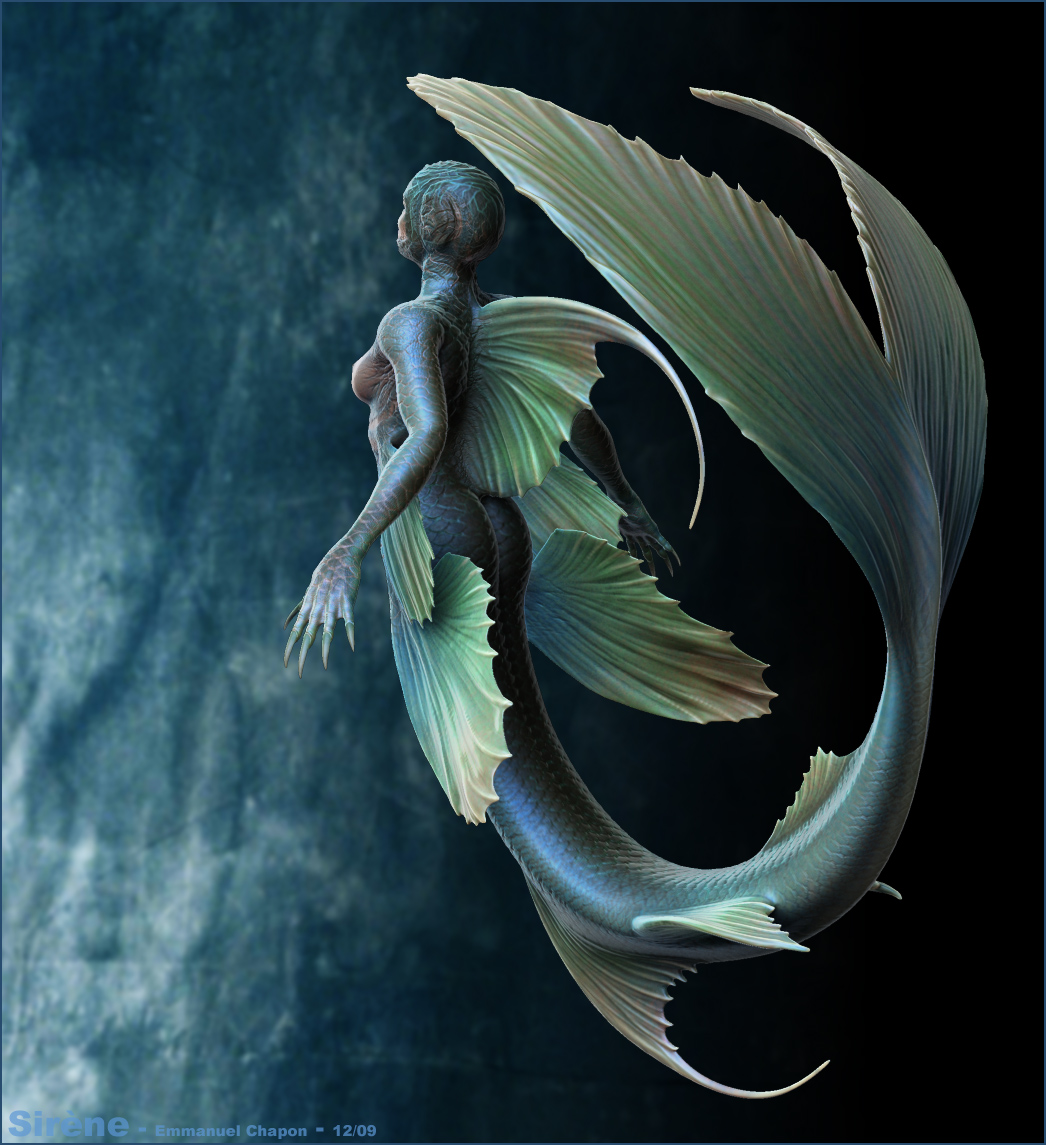 SIREN_color_2.jpg