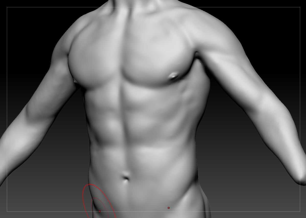 torso011.jpg
