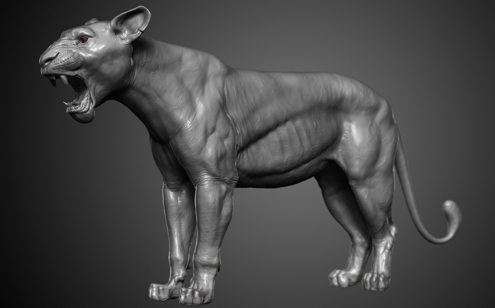 Lion_01.jpg