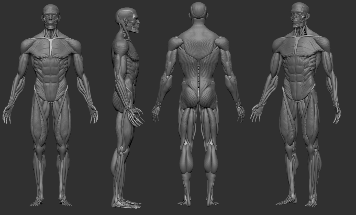 ZBrush ScreenGrab02.jpg