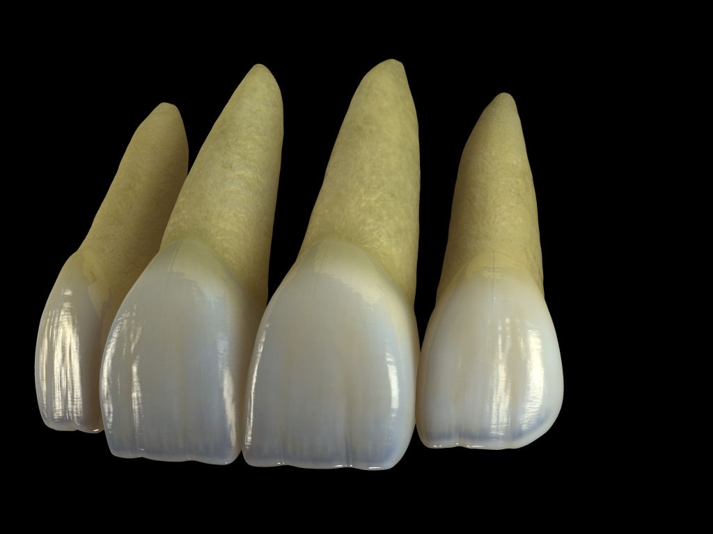 dientes3.jpg