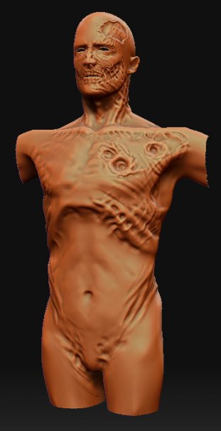 z2.jpg