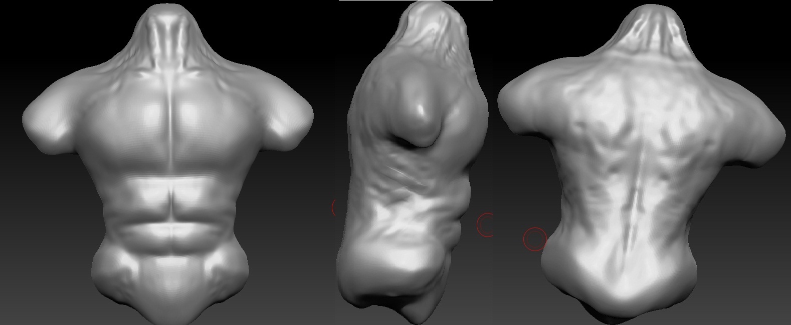 body.jpg