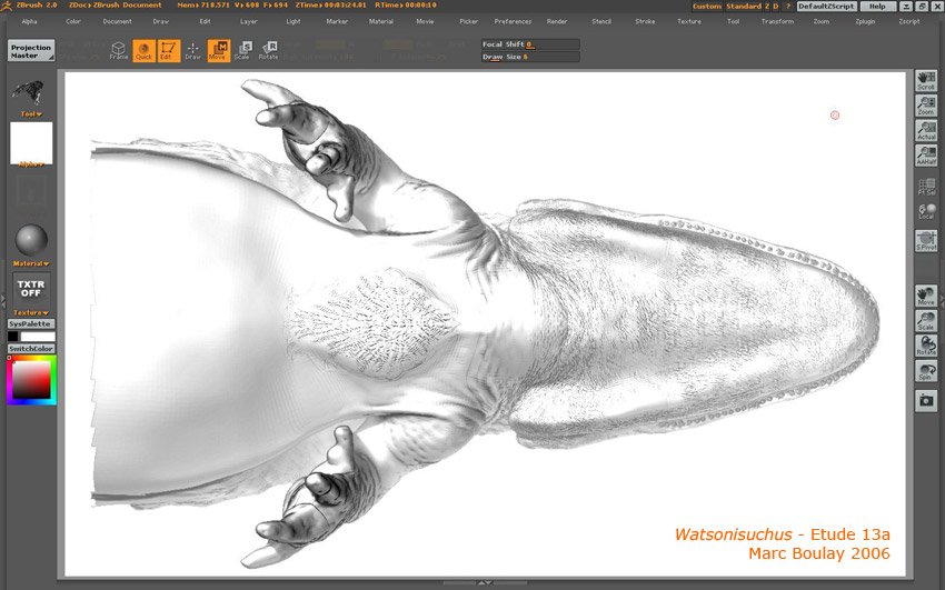 Watsonisuchus_etude_13a.jpg