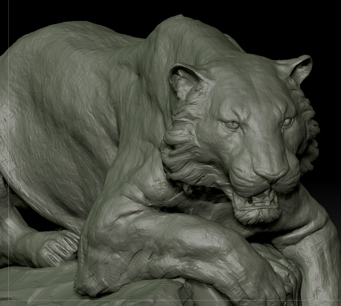 closeup02.jpg