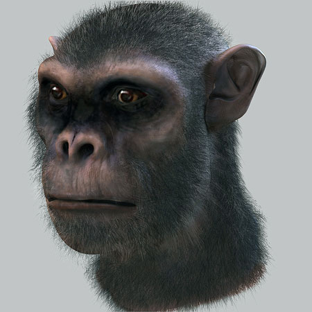 gallery_3d_004.jpg