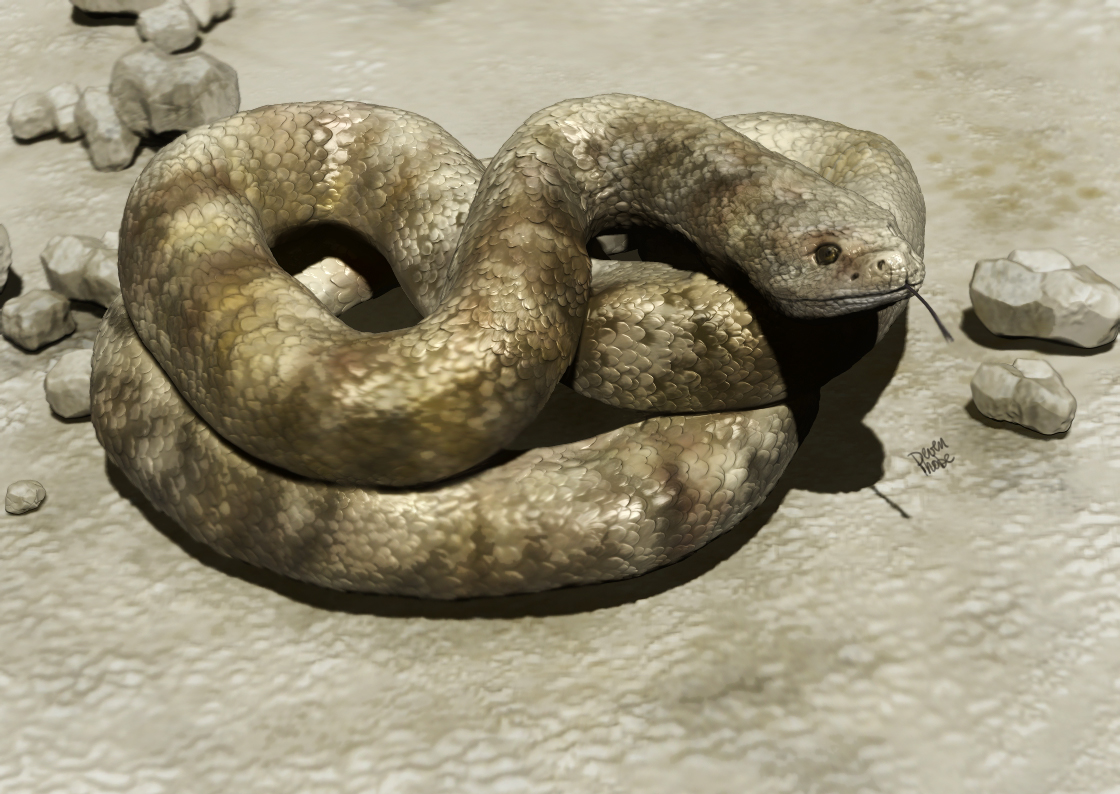rattlesnake5