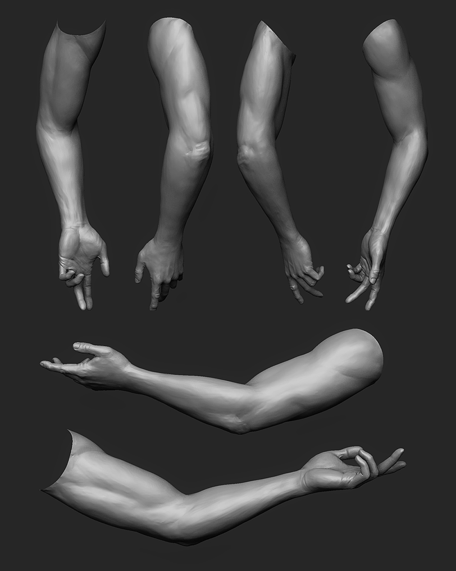 Arm.jpg