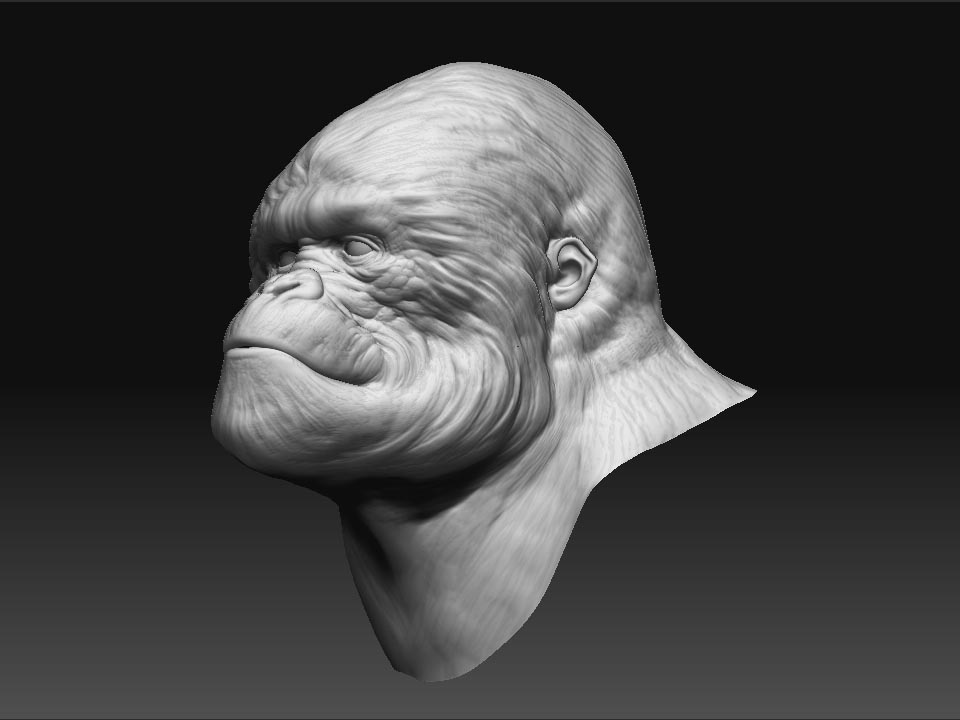 gorilla_h.jpg