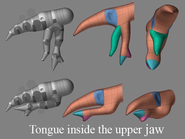 Tongue.jpg