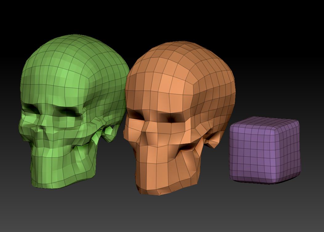 Cranium_5.jpg