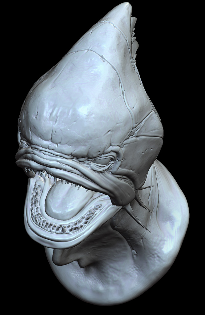 fishhead_top_web.jpg