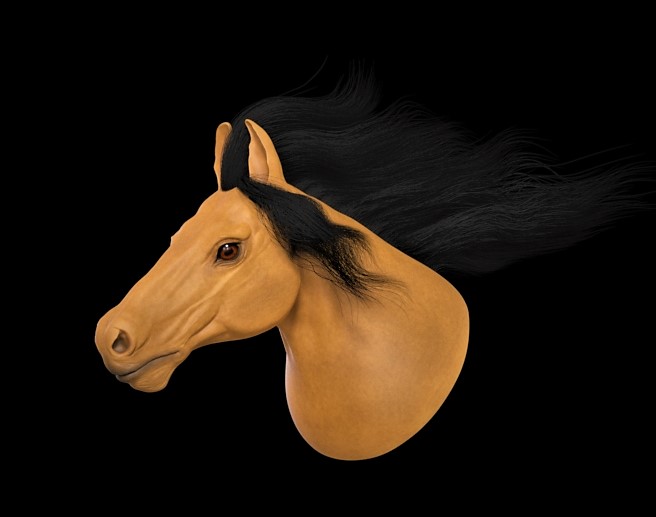 Horse7