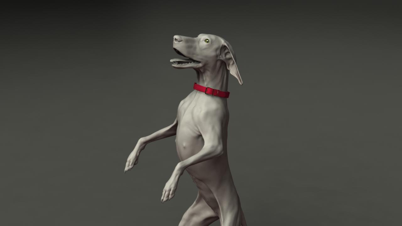 DogMayaRender1.jpg