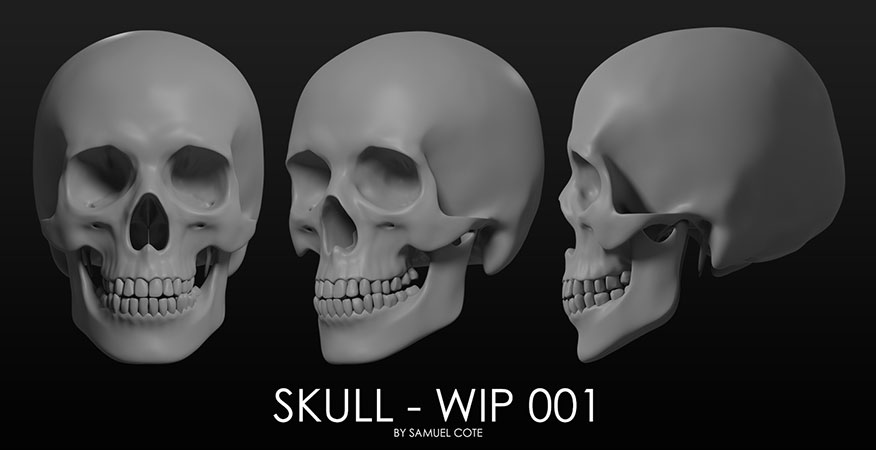 med-skull-wip001.jpg