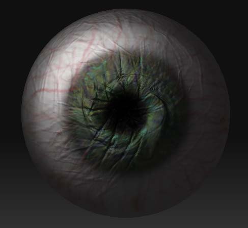 eye1.jpg