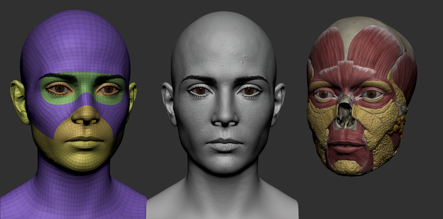 zbrush base head