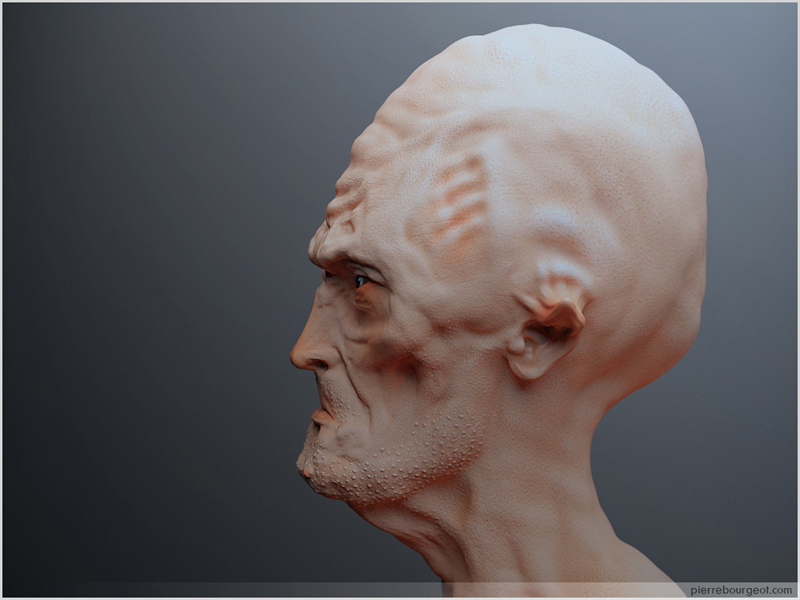 PierreB_Bust03.jpg