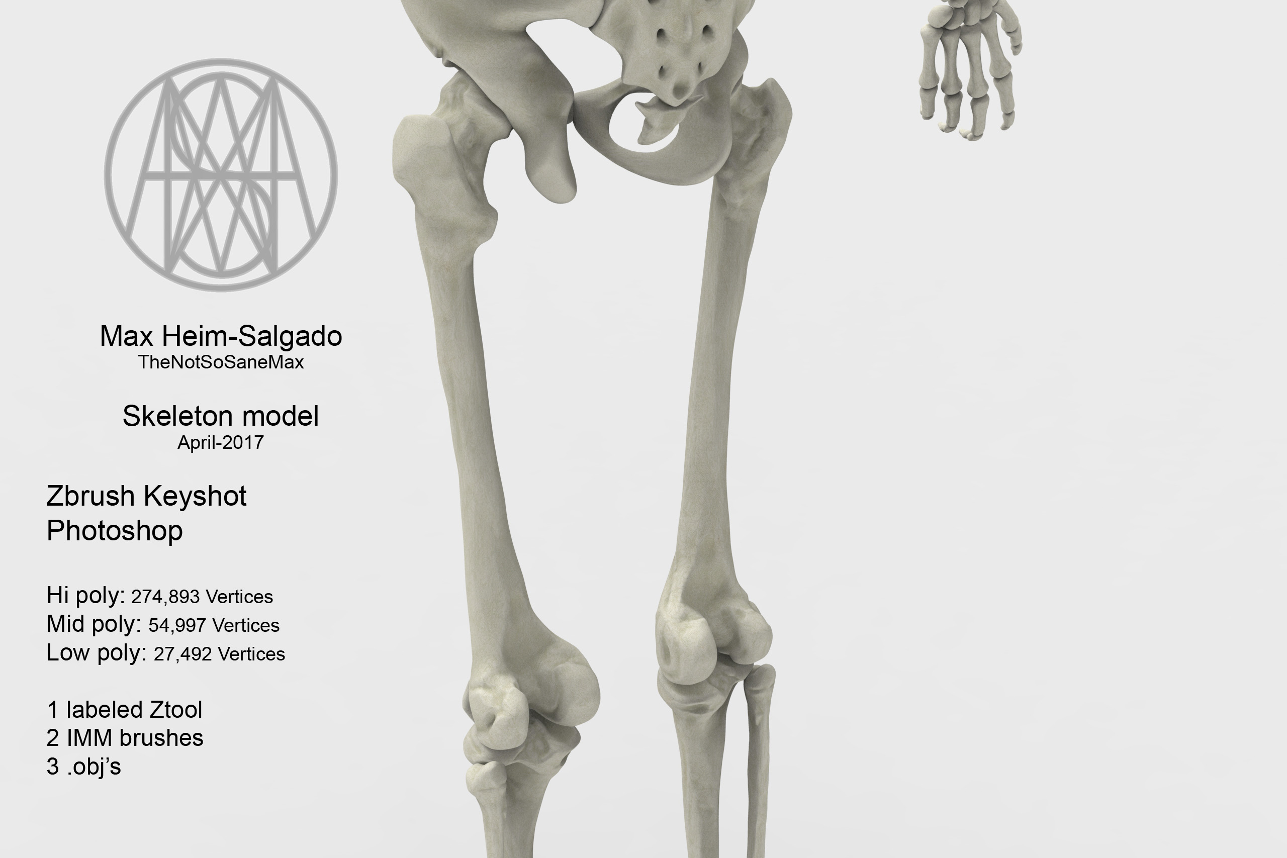 Anatomy Guff - ZBrushCentral
