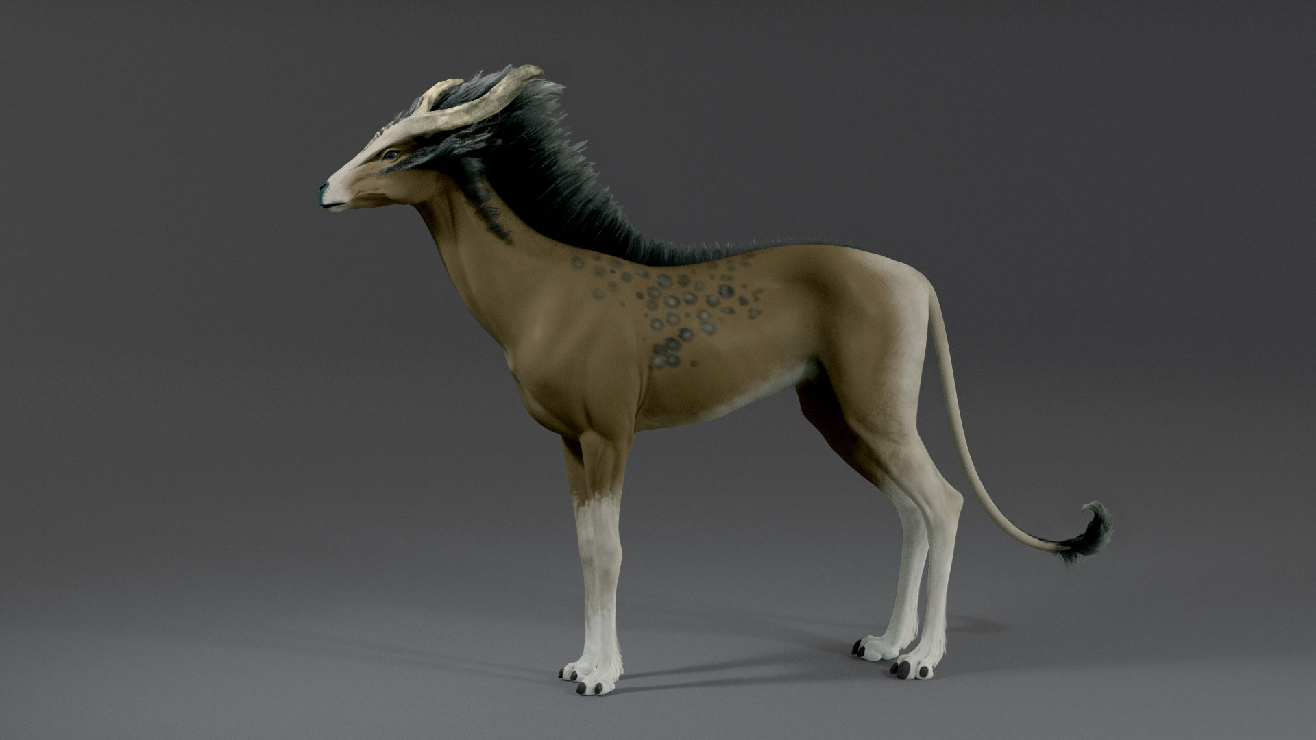 ConceptBaseRender1_CLR-Op6.jpg