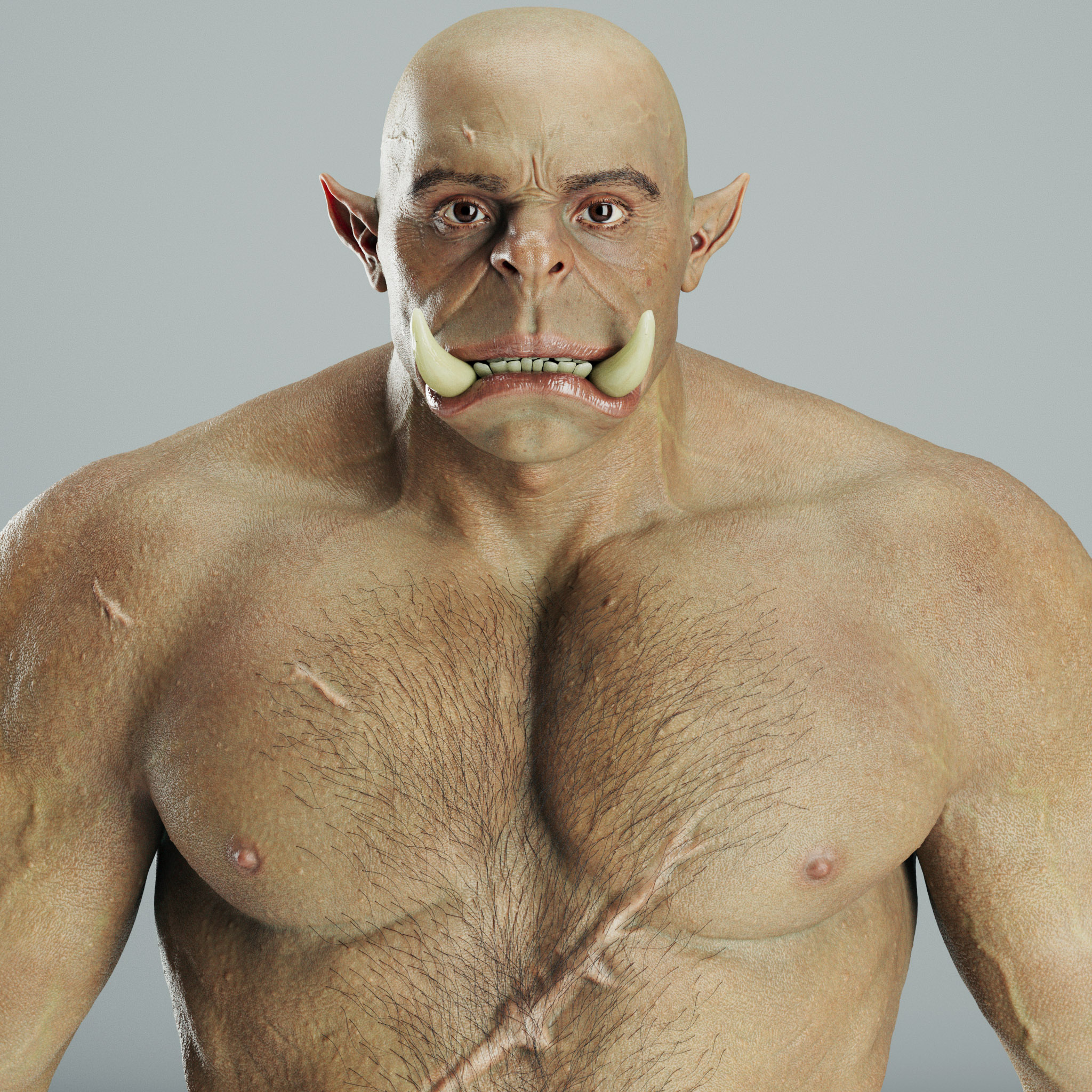 orc%20front%20final