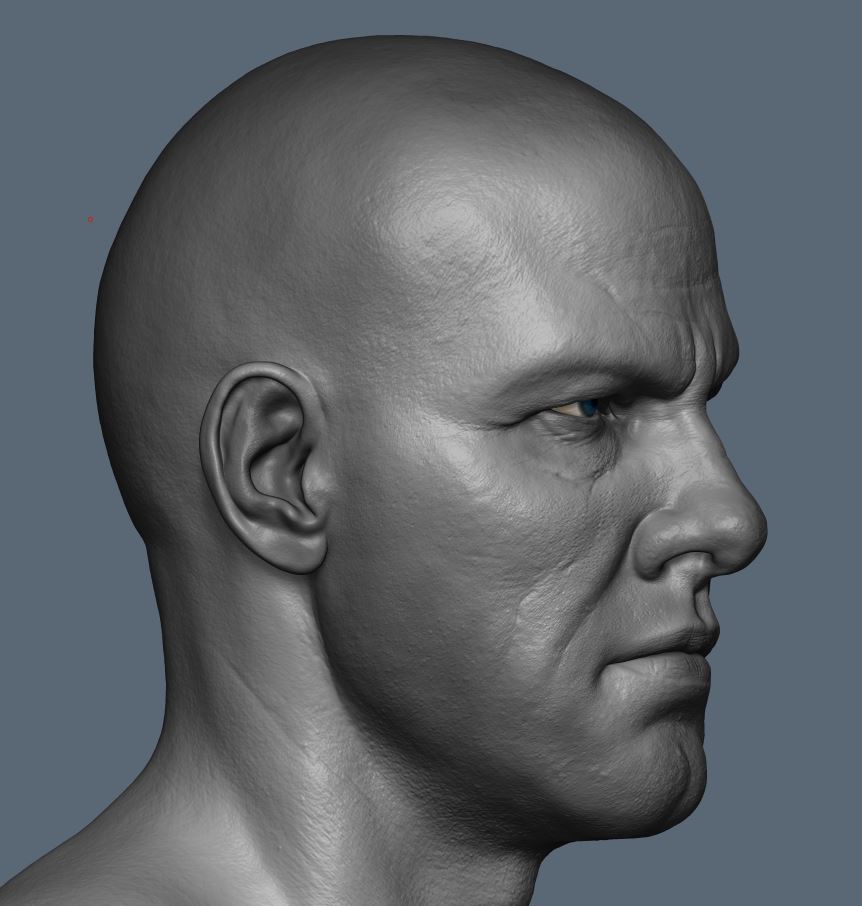 face_hp_03.JPG