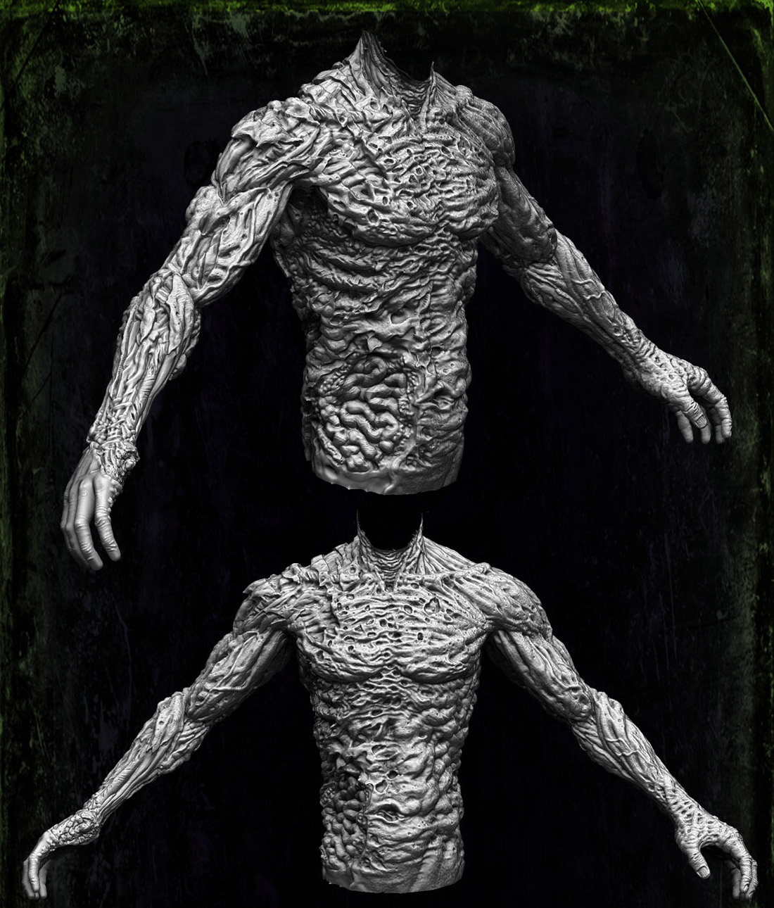 torsoh1.jpg