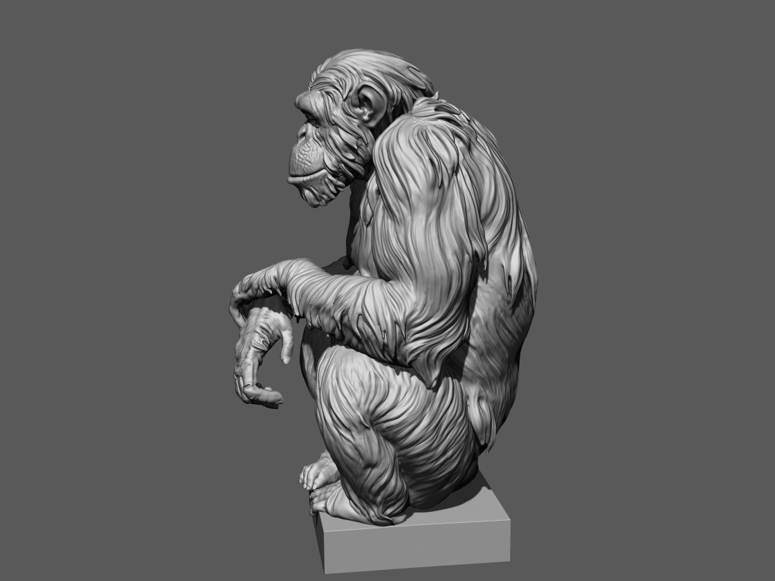 chimp_zb3.jpg