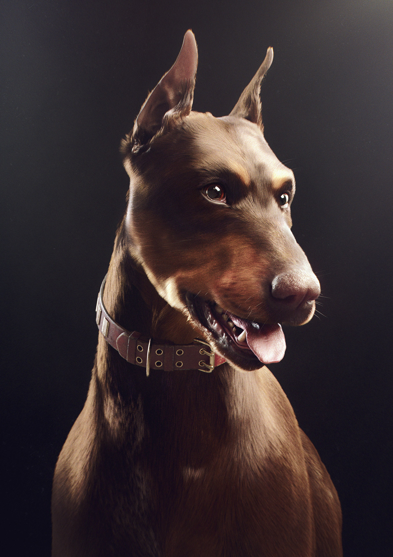 Doberman_TomasKral_Hires.jpg