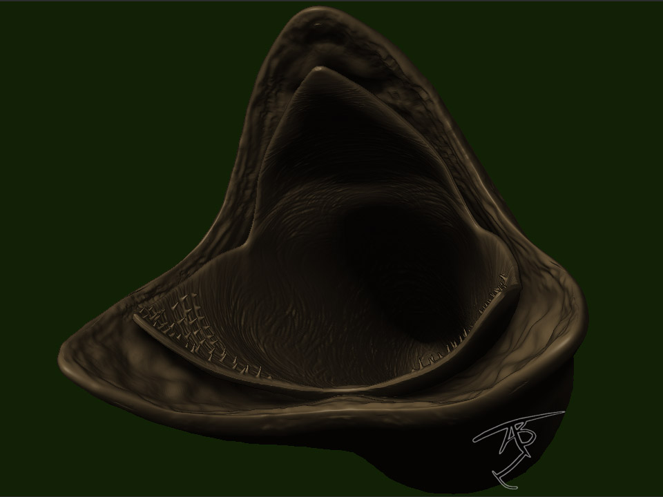 duneworm6.jpg