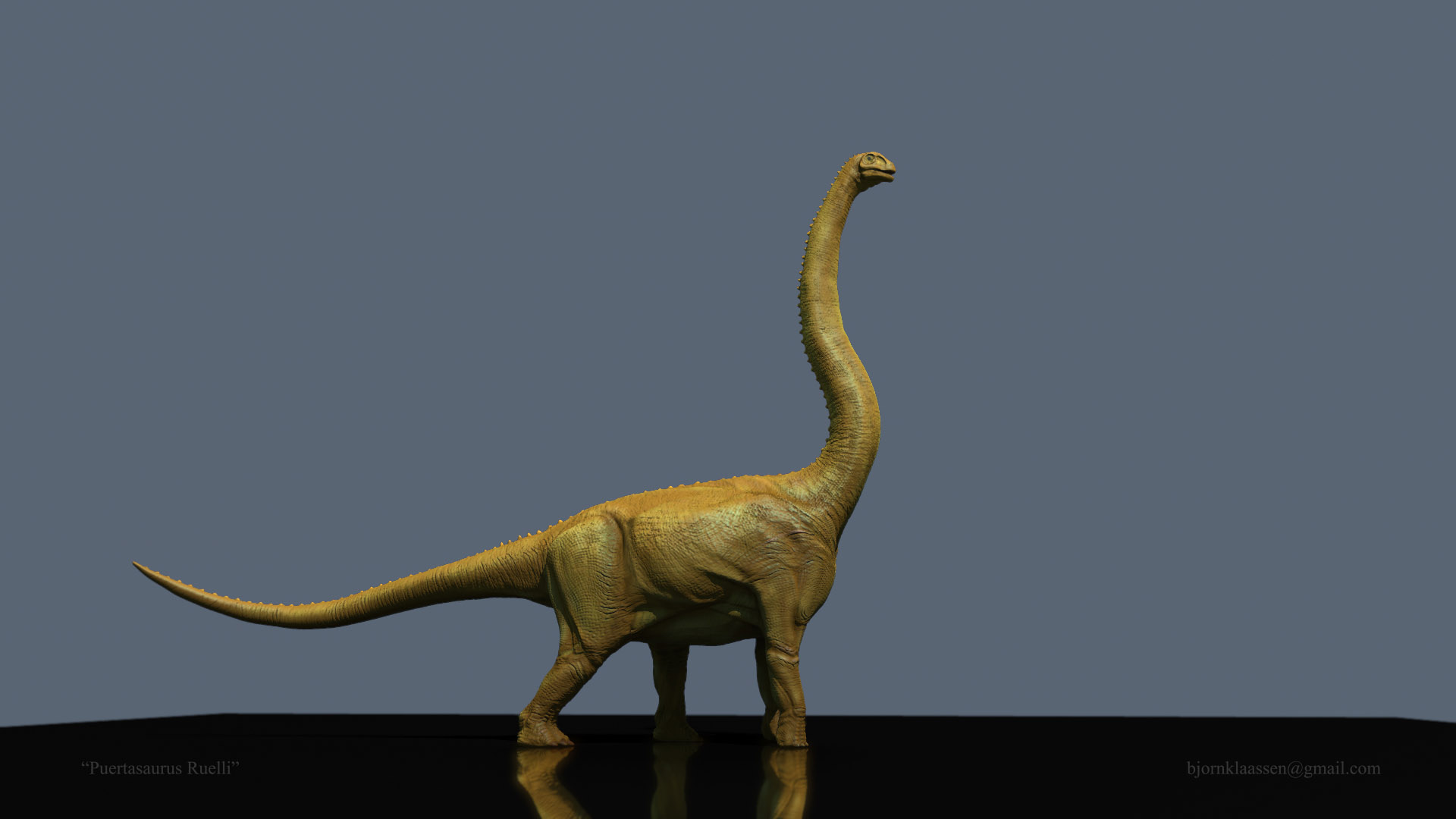 puertaSaur 6_000002.jpg