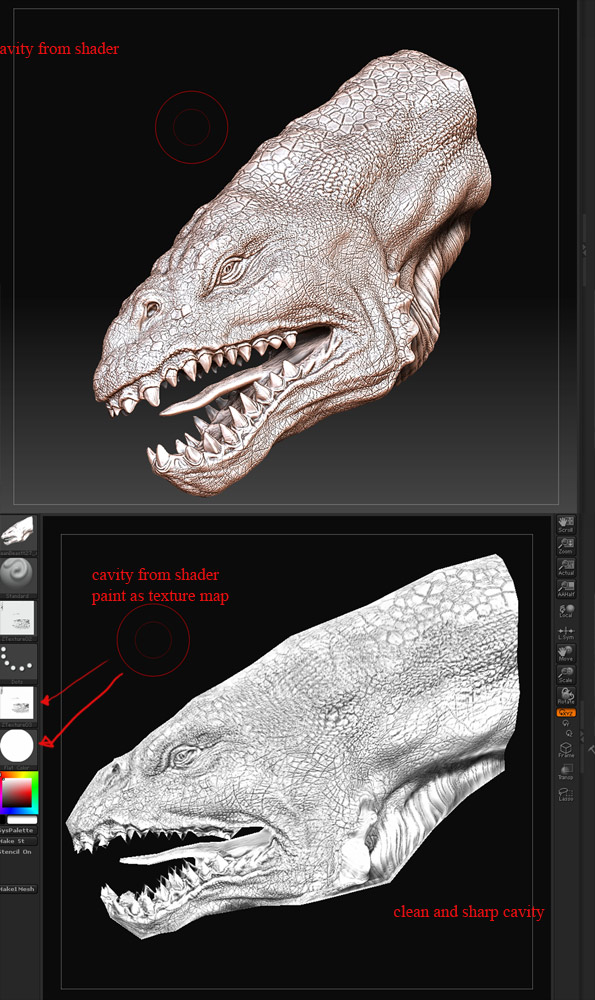 cavity.02jpg.jpg