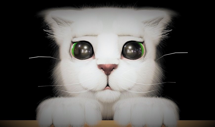 Kitten (2)