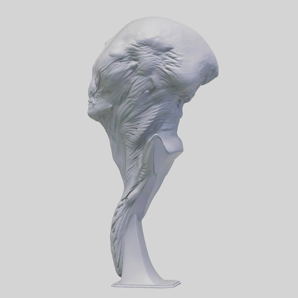 66822837_10156442635679352_5881280666112360448_n