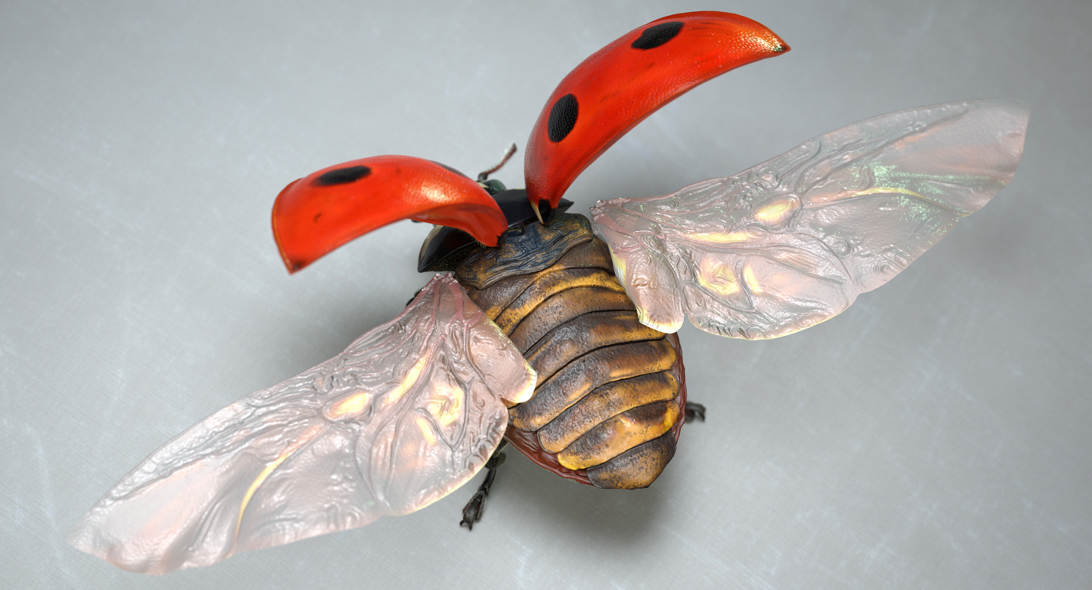 LadybugV02_imagesTS_00013.jpg