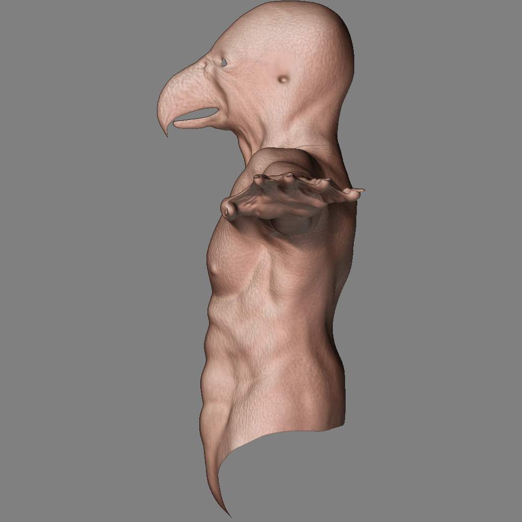 fixing torso05.jpg
