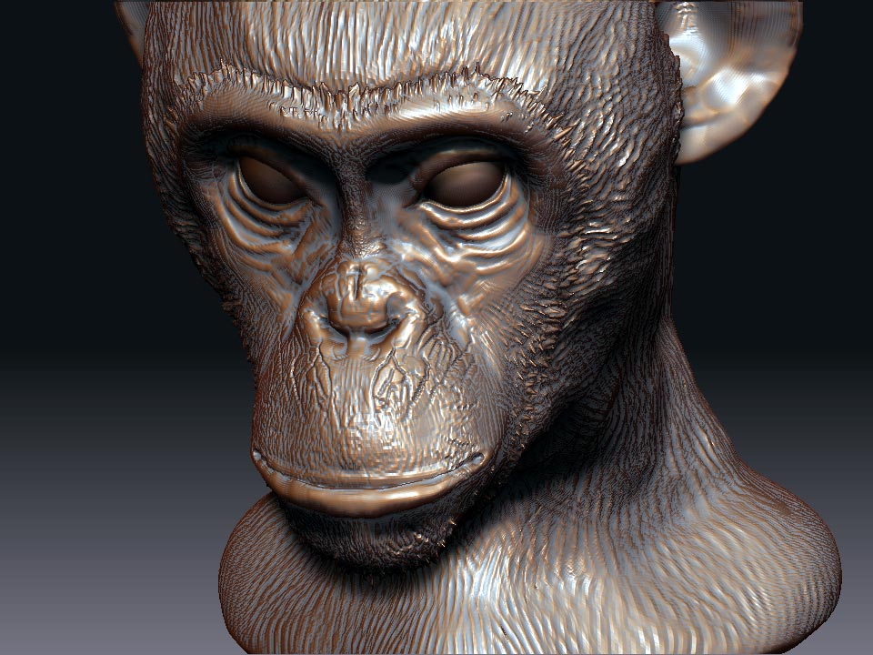 Chimp2.jpg