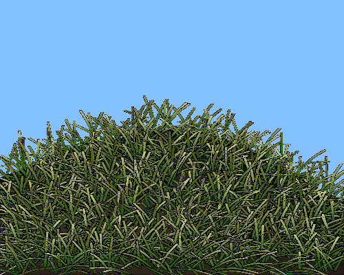 grass003b.jpg