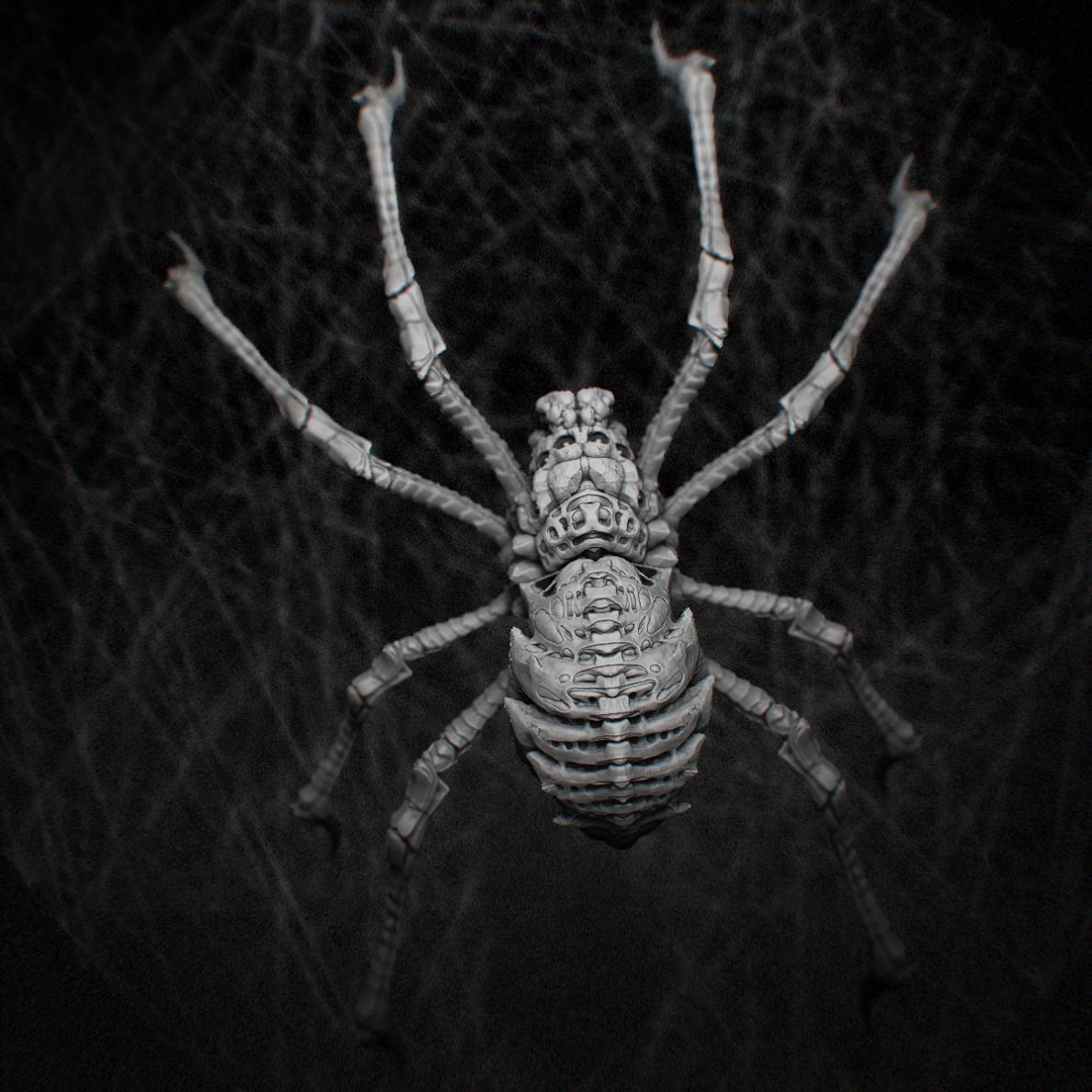 Resize of spider_04.jpg