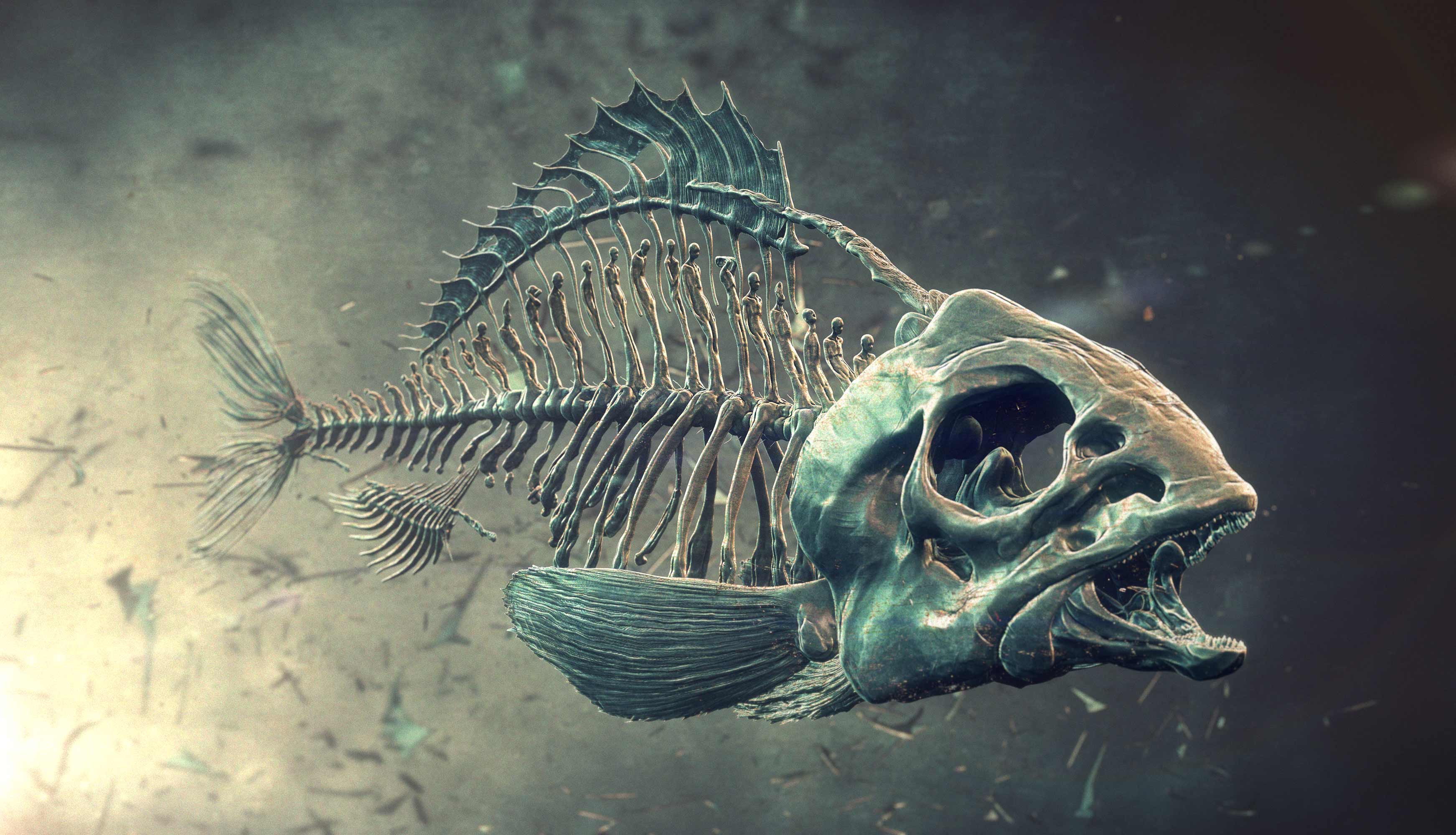 02-FIsh_00000.jpg