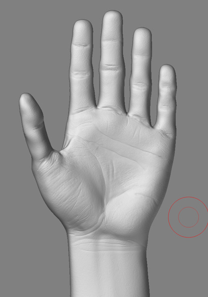 Hand_Z.jpg